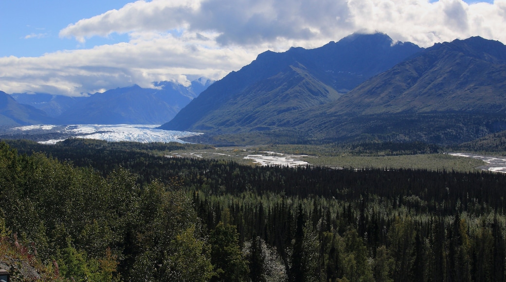 Still there, the Malaspina Glacier