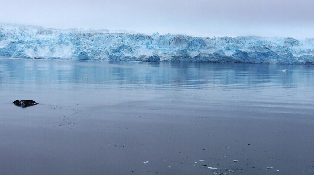 Tall, wide and generally massive, Hubbard Glacier is a natural wonder in glacial blue. The largest tidewater glacier in North America at a whopping 76 miles long, 1,200 feet deep and over 6 miles wide at it’s outflow. The part of the face you see here is around 200 feet high though in places it can be up to 400 feet. It is a major calving glacier. We saw some relatively minor activity but sadly missed the photo opportunity. However it is a mesmerising and awesome sight somehow made the more so in the overcast atmospheric conditions when we were there.