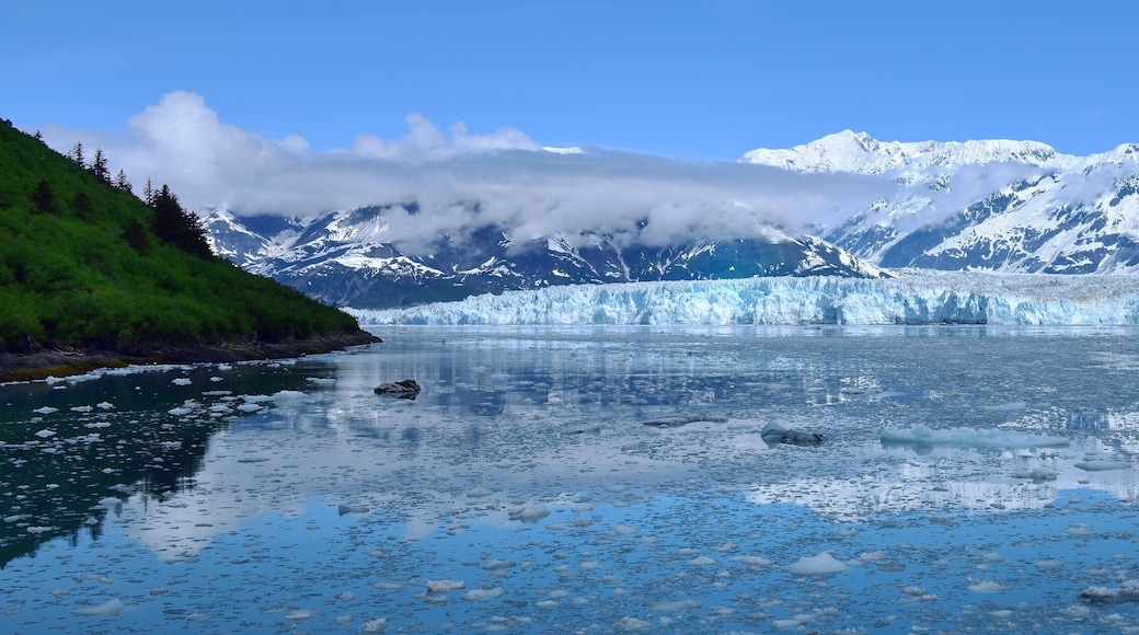 Hubbard Glacier in Yakutat Bay
