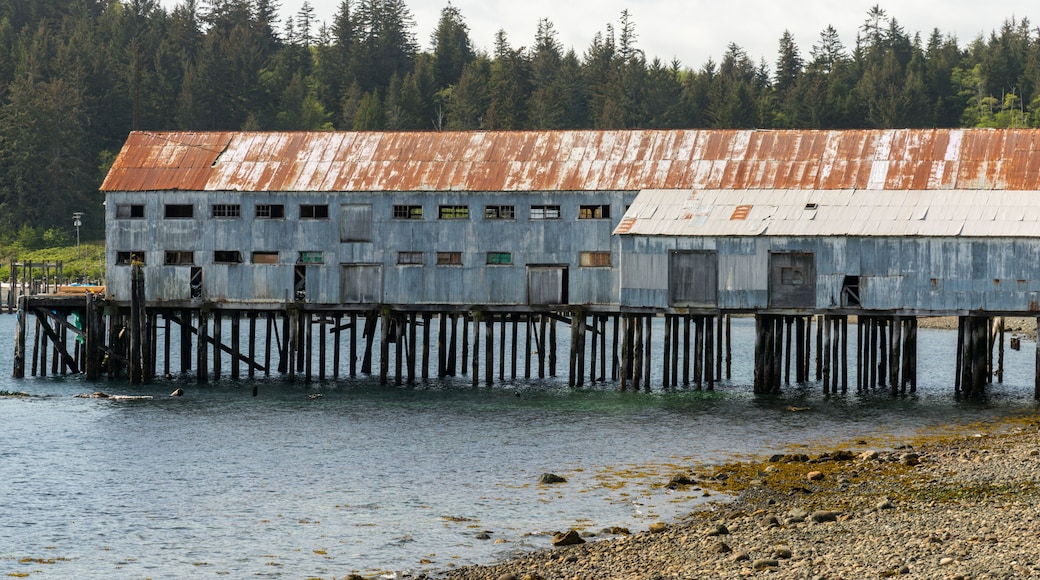 A weathered wooden structure with a rusted roof, situated on stilts over water, surrounded by dense forest.