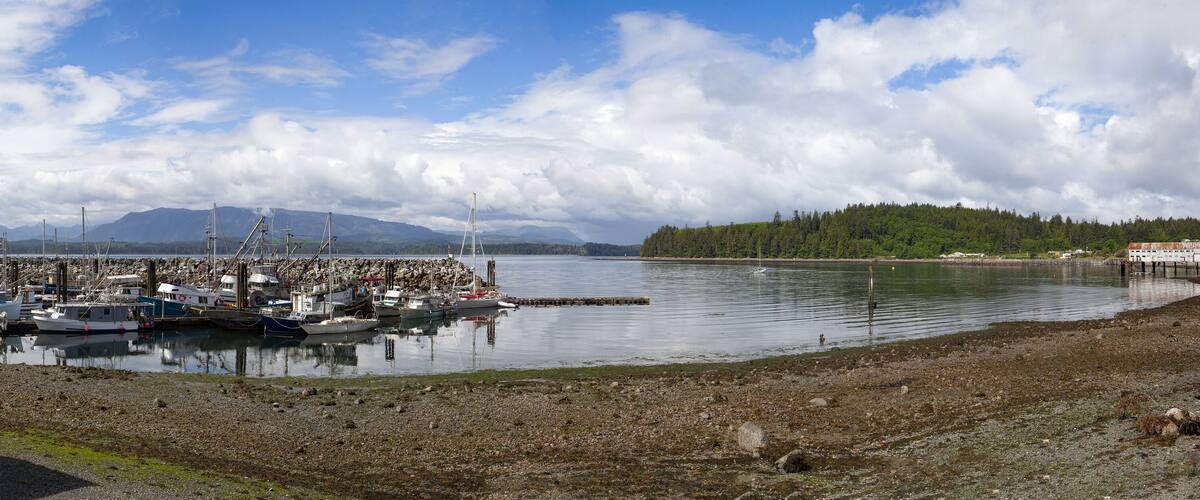 A harbor with boats, a rocky shore, and mountains in the background.