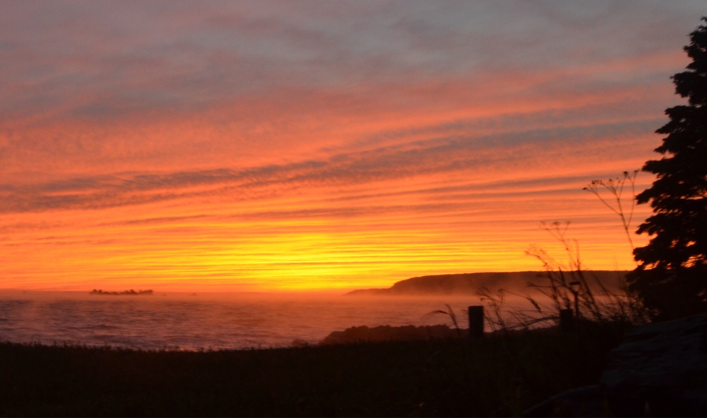 A sunset over a coastal landscape with a silhouette of a tree and a distant landform.