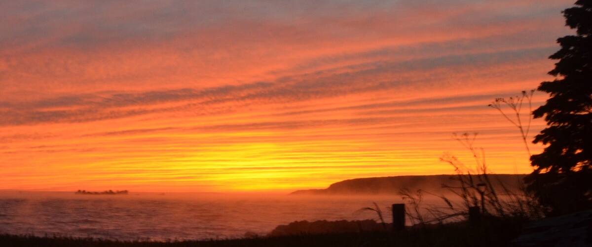 A sunset over a coastal landscape with a silhouette of a tree and a distant landform.