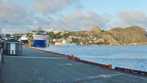 St. Anthony - a town on the northern reaches of the Great Northern Peninsula of the Canadian province of Newfoundland and Labrador.