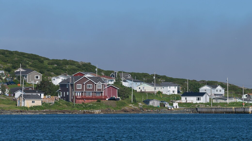 St. Anthony Harbour and village in northern Newfoundland, Canada