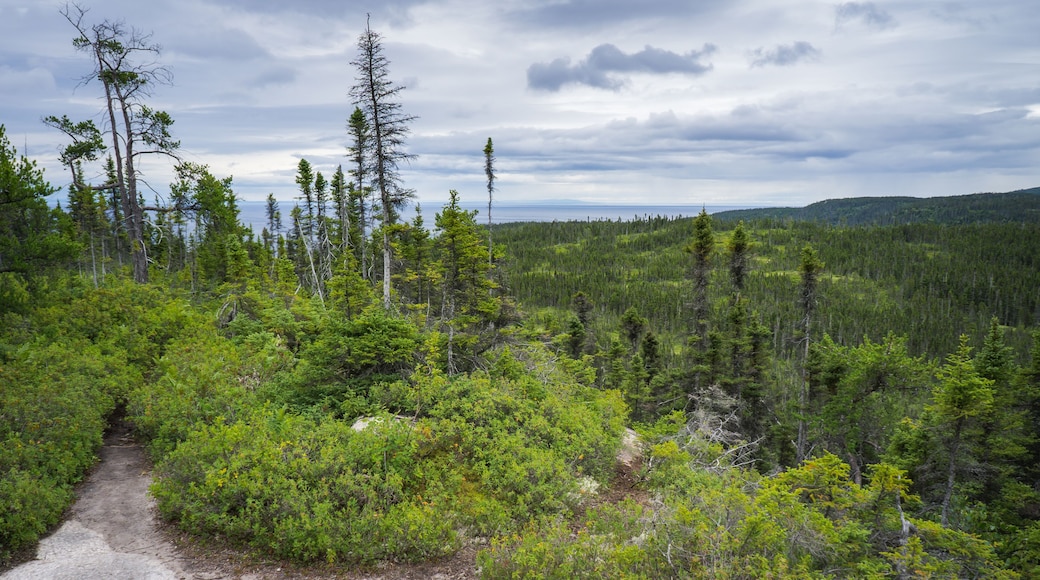 View from St Pancrace Belvedere on Lake Low near Baie Comeau in Cote Nord region of Quebec, Canada