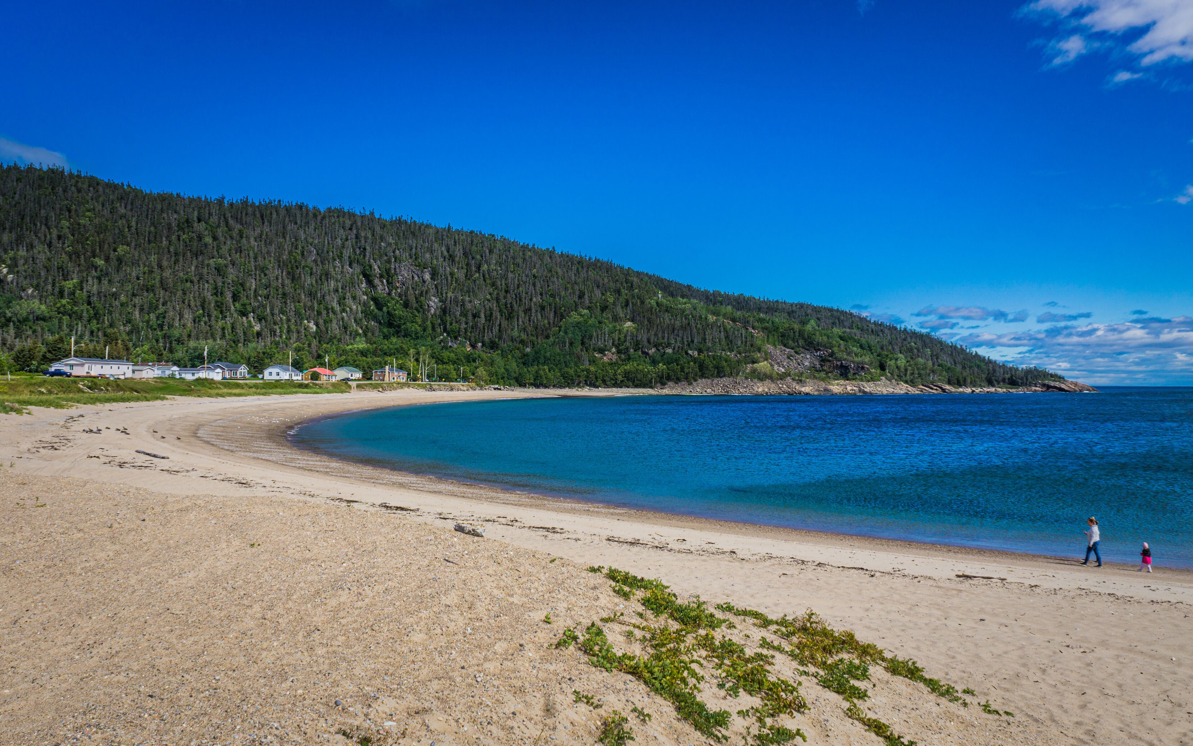 A sandy beach with a forested hill in the background and a clear blue sky.
