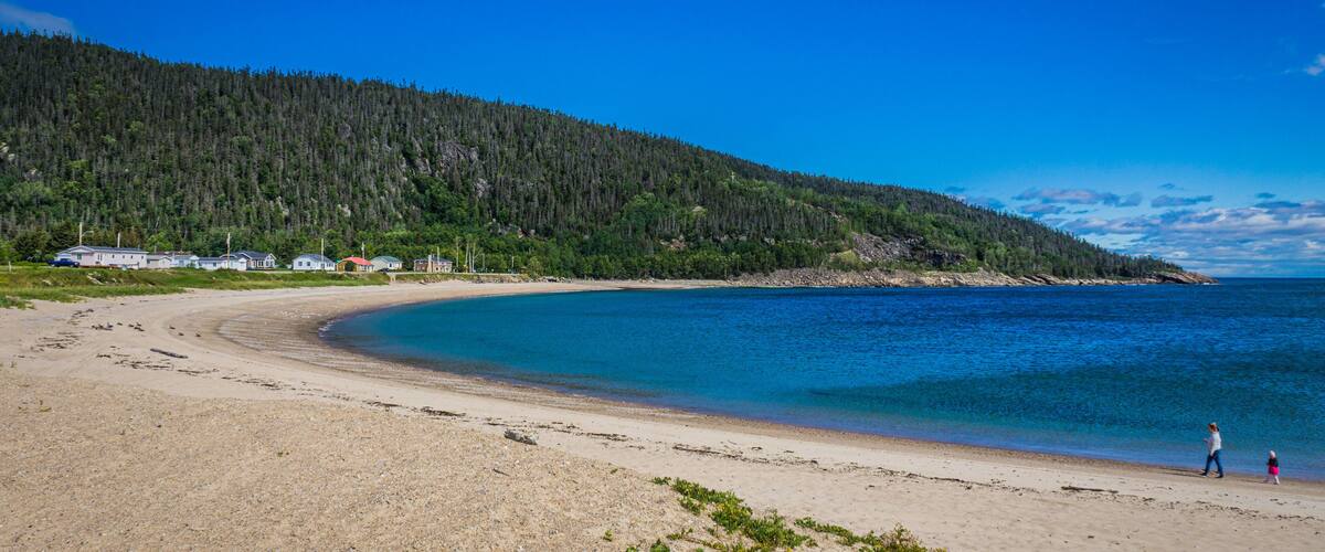 A sandy beach with a forested hill in the background and a clear blue sky.