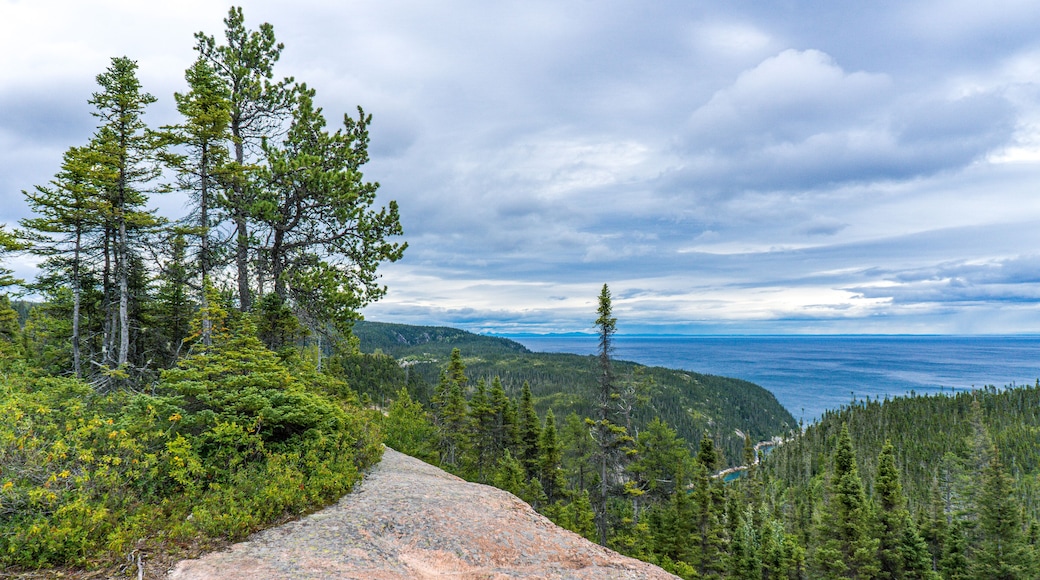 View from St Pancrace Belvedere on the St Pancrace Fjard, near Baie Comeau, Cote Nord of Quebec, Canada