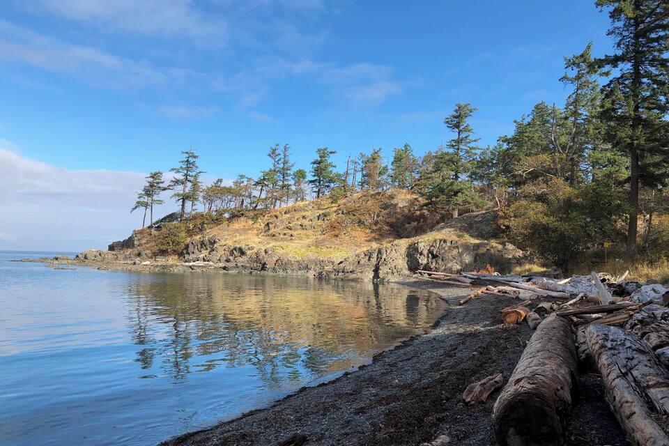 A calm lake with a rocky shoreline, scattered trees, and driftwood.