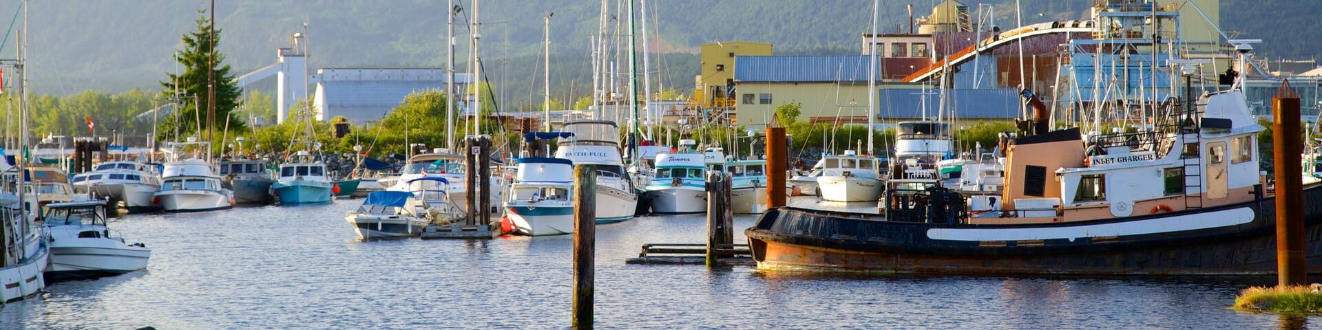 Port Alberni featuring a marina
