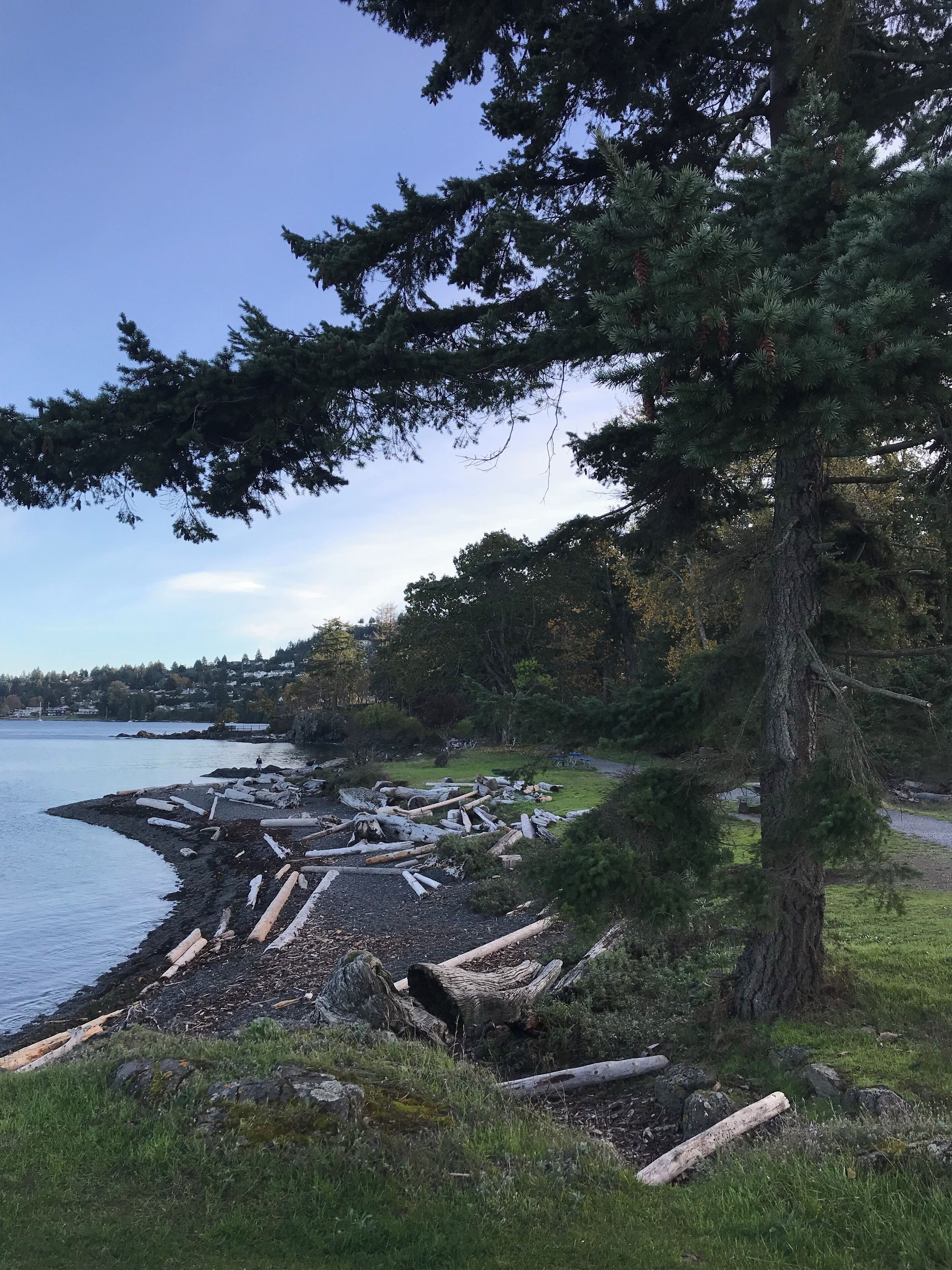 West coast vibes #nature