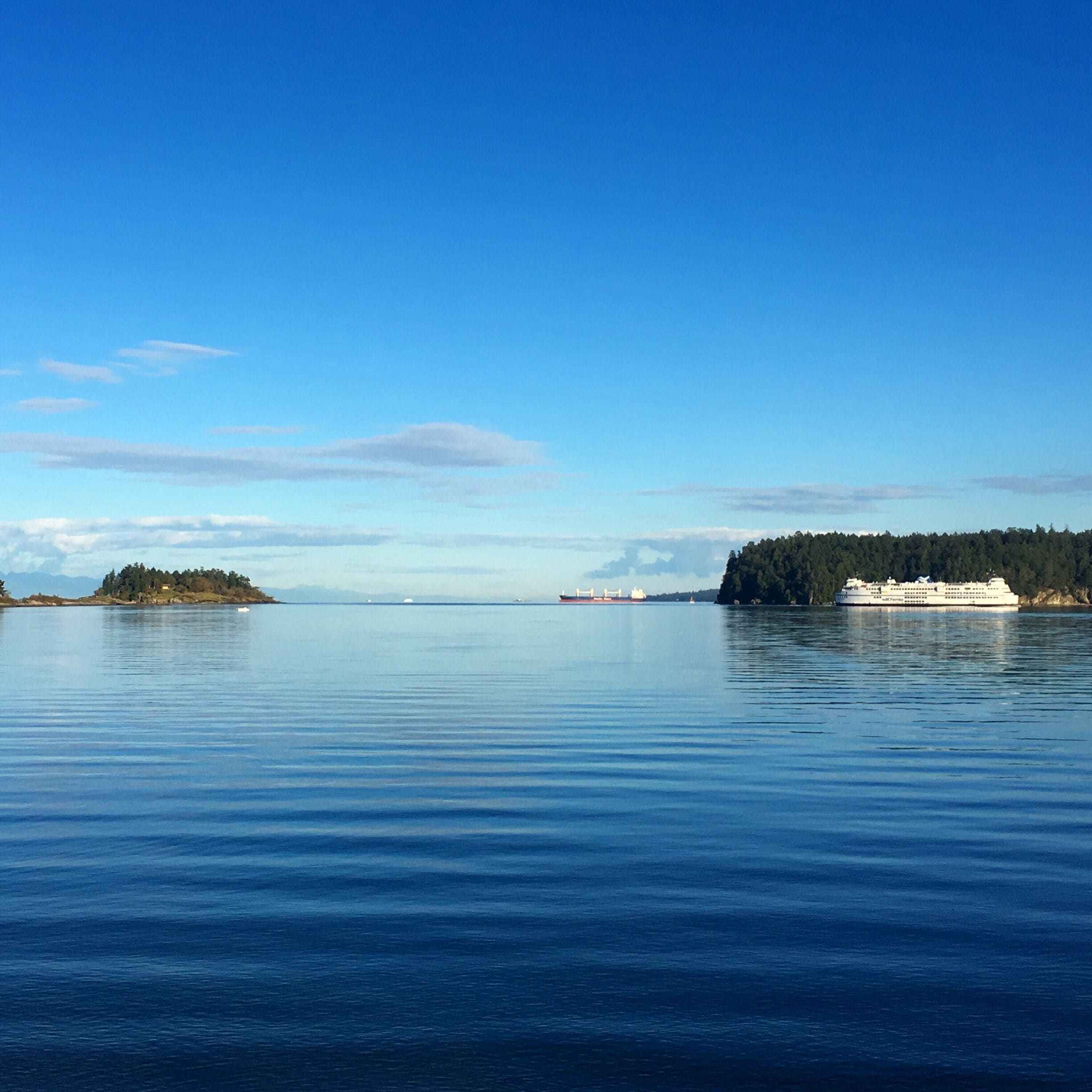 Watching the ferries coming in and going out from the beach at Departure Bay. 