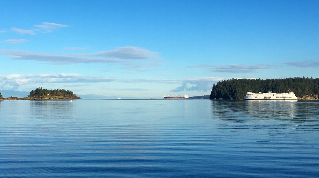 Watching the ferries coming in and going out from the beach at Departure Bay.