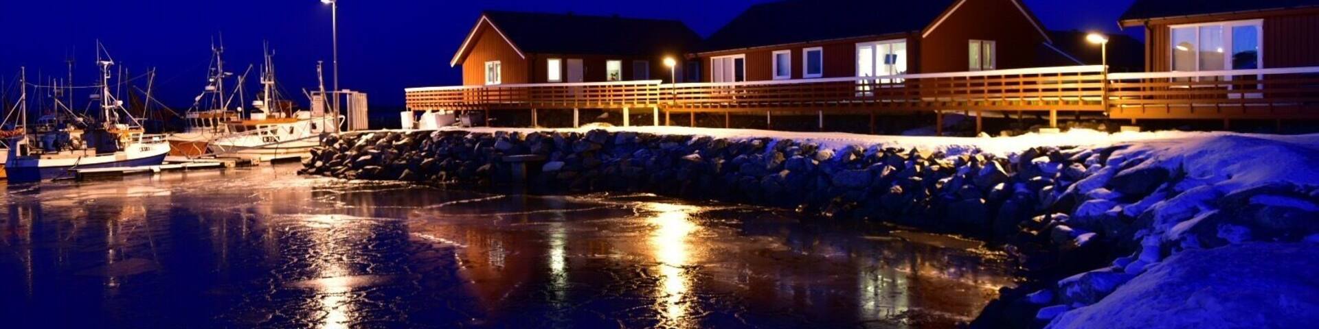 RORBUER ANDENES
LOFOTEN NORWAY