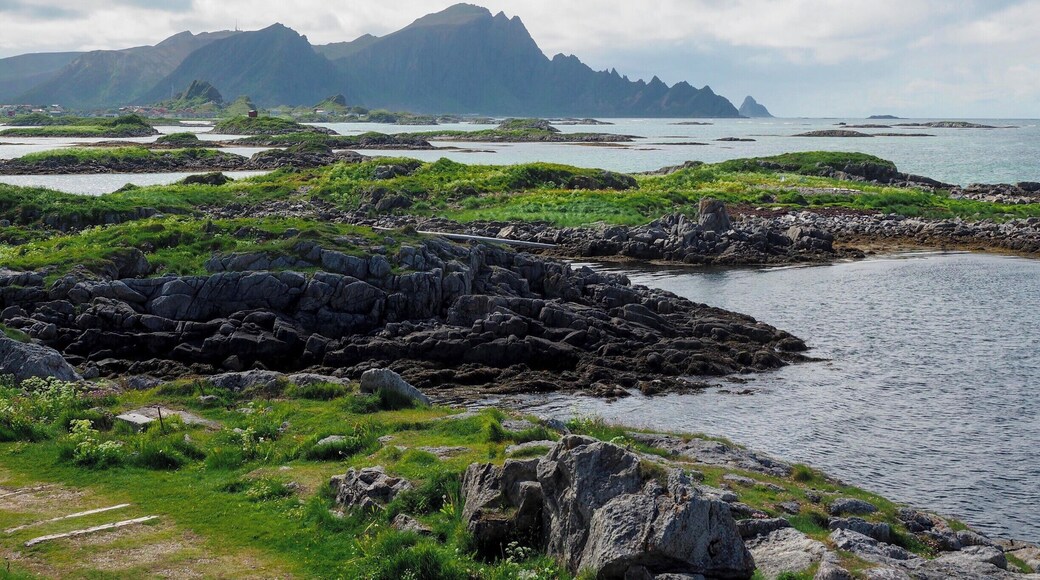 Andenes, Norway, is a small town on the island of Andøy in the Vesterålen Islands. Not only is the town beautiful (look at that mountain backdrop!), but it's also one of the best places in Norway to go whale watching. Andenes isn't far from a deep ocean canyon, meaning you can usually see whales year-round.