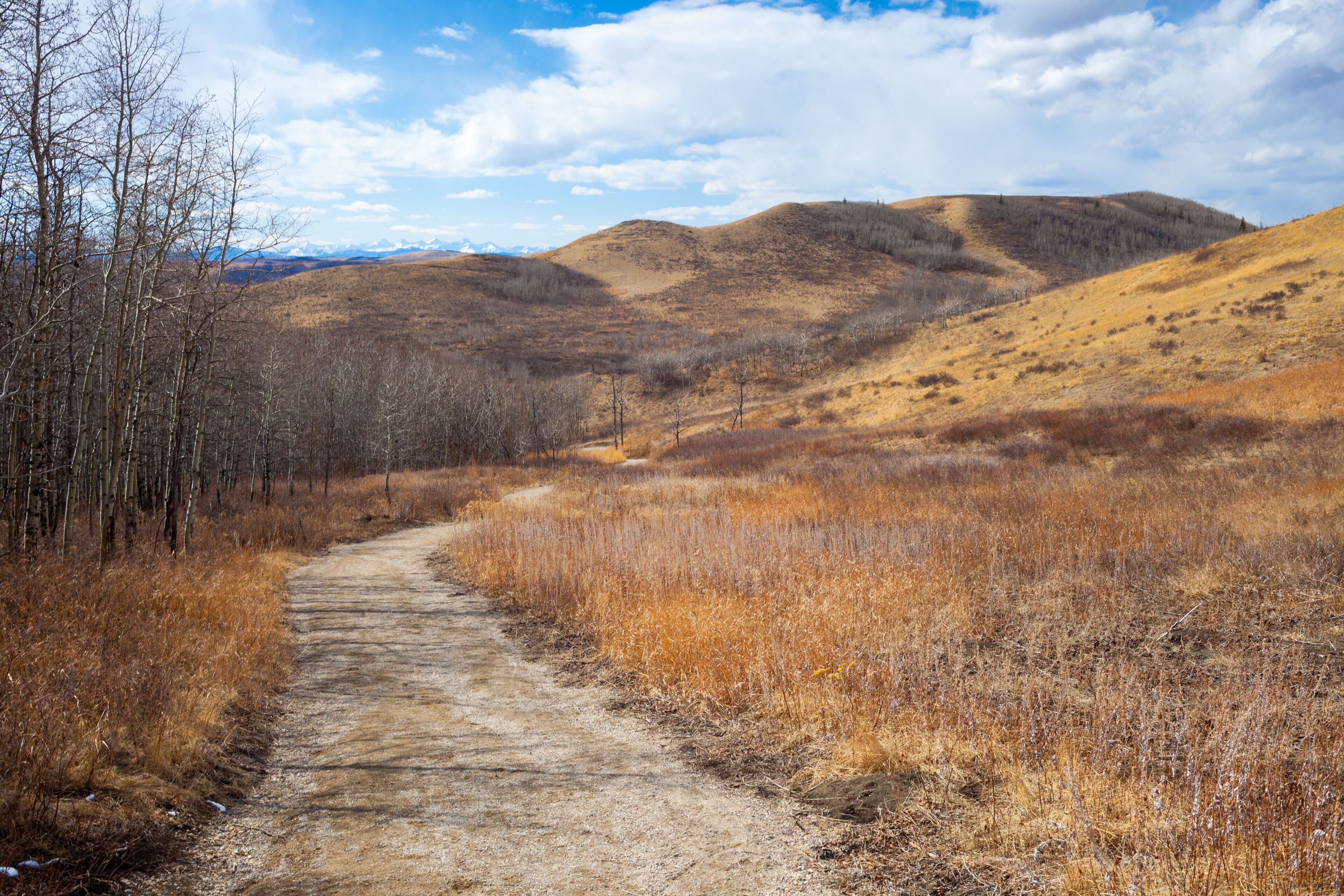 Trail though the beautiful Glenbow Ranch Provincial Park in Alberta