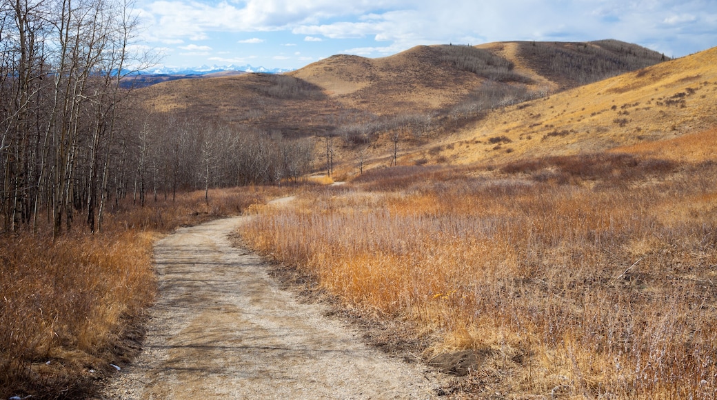 Trail though the beautiful Glenbow Ranch Provincial Park in Alberta