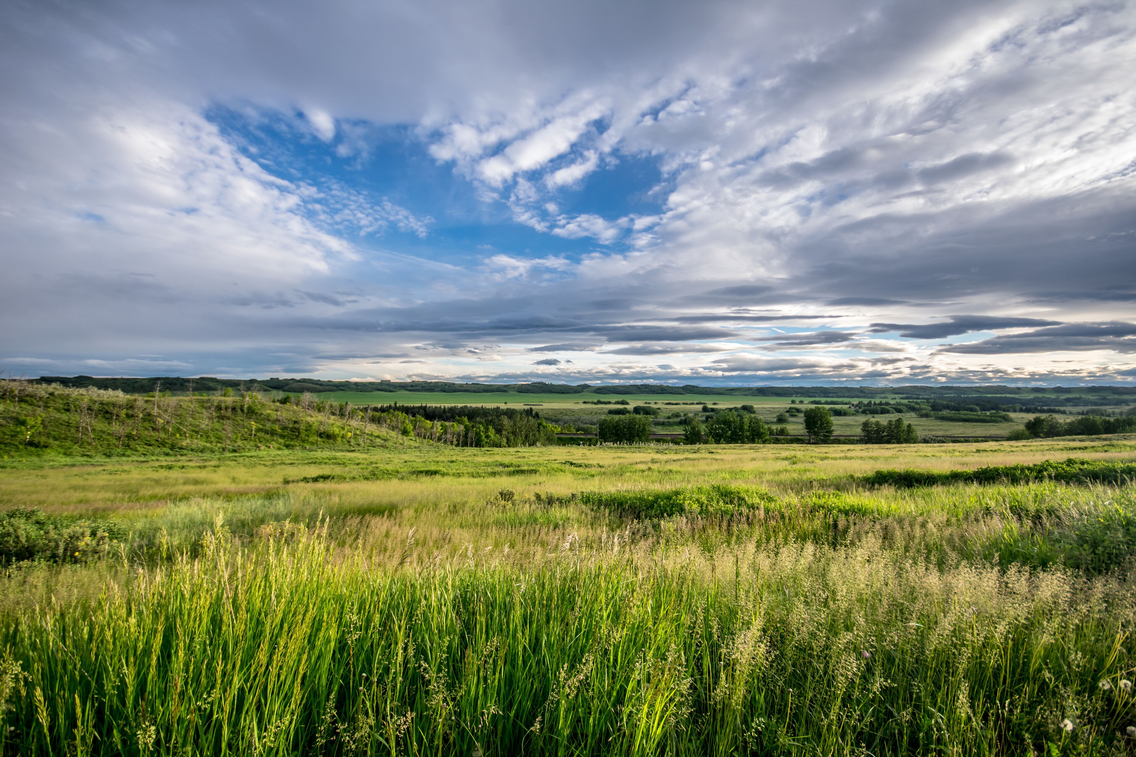Glenbow Ranch Provincial Park, Calgary, Alberta, Canada