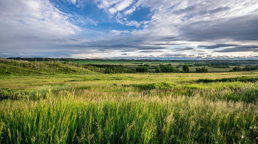 Glenbow Ranch Provincial Park, Calgary, Alberta, Canada