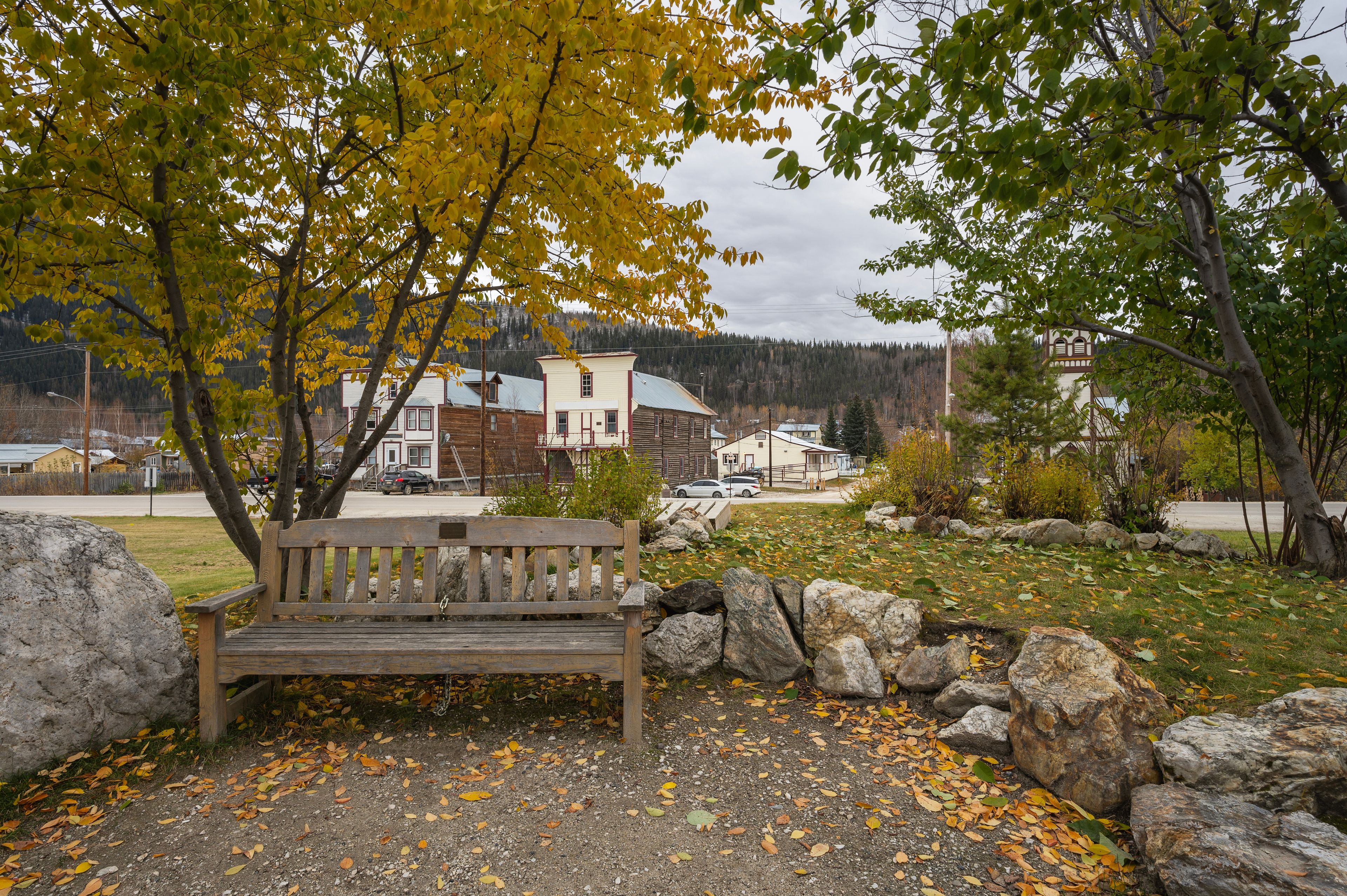 A wooden bench in a park with autumn leaves on the ground, surrounded by rocks and trees with yellow leaves.