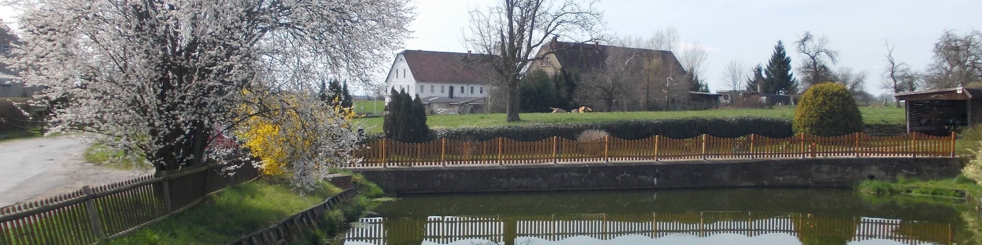 Pond in Greipzig (Altenburg, Thuringia)