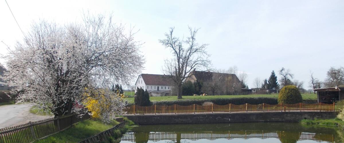 A pond with a wooden fence, a white house, and trees with blossoms.