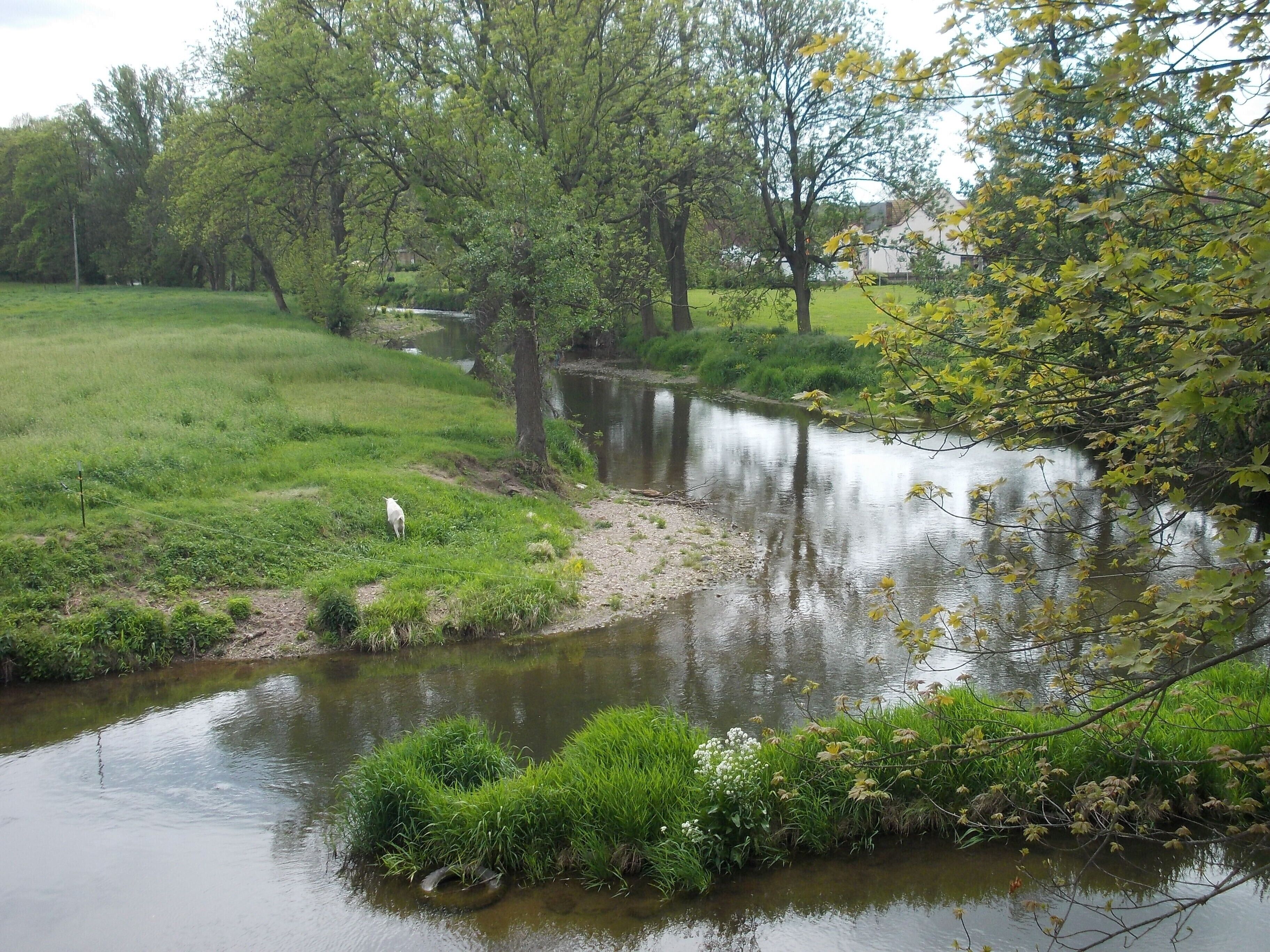 Pleisse river in Paditz (Altenburg, Thuringia)