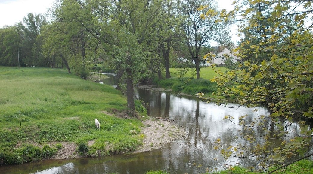 Pleisse river in Paditz (Altenburg, Thuringia)