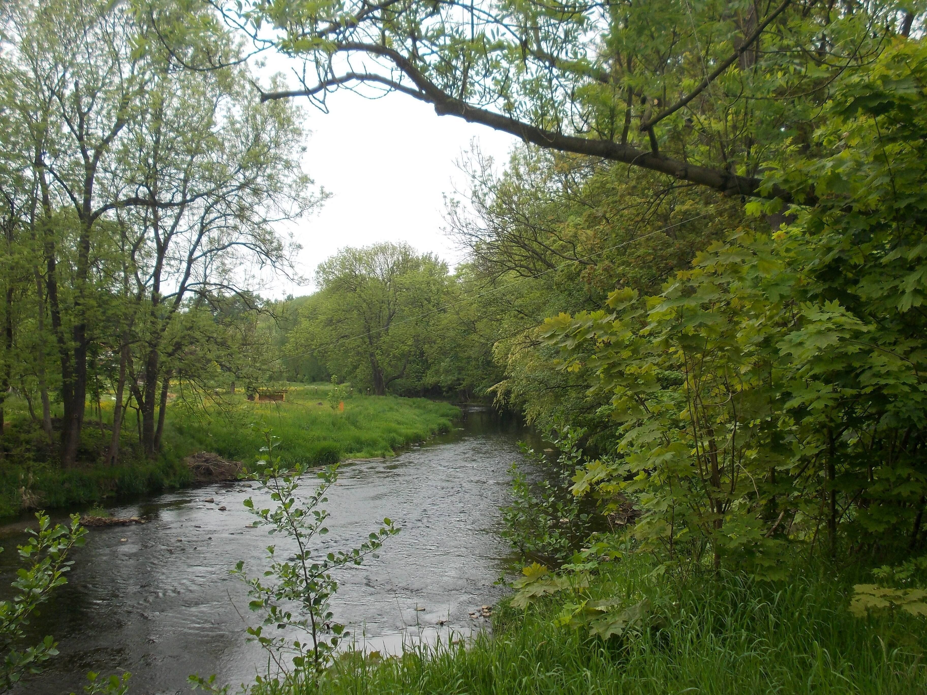 Pleisse river near Paditz (Altenburg, Thuringia)