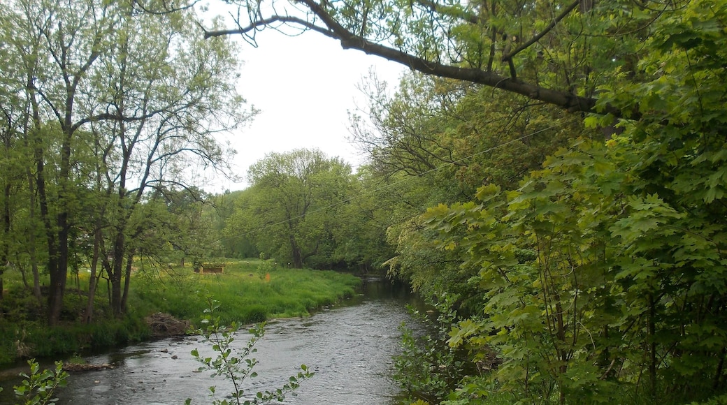 Pleisse river near Paditz (Altenburg, Thuringia)