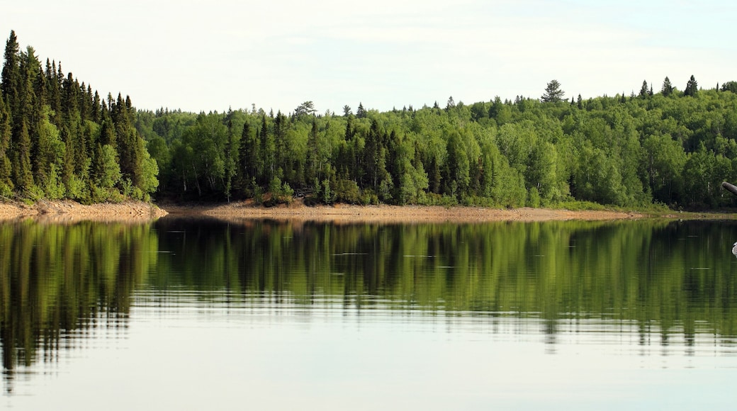 Wide angle of a wild lake with a big buck on the right
