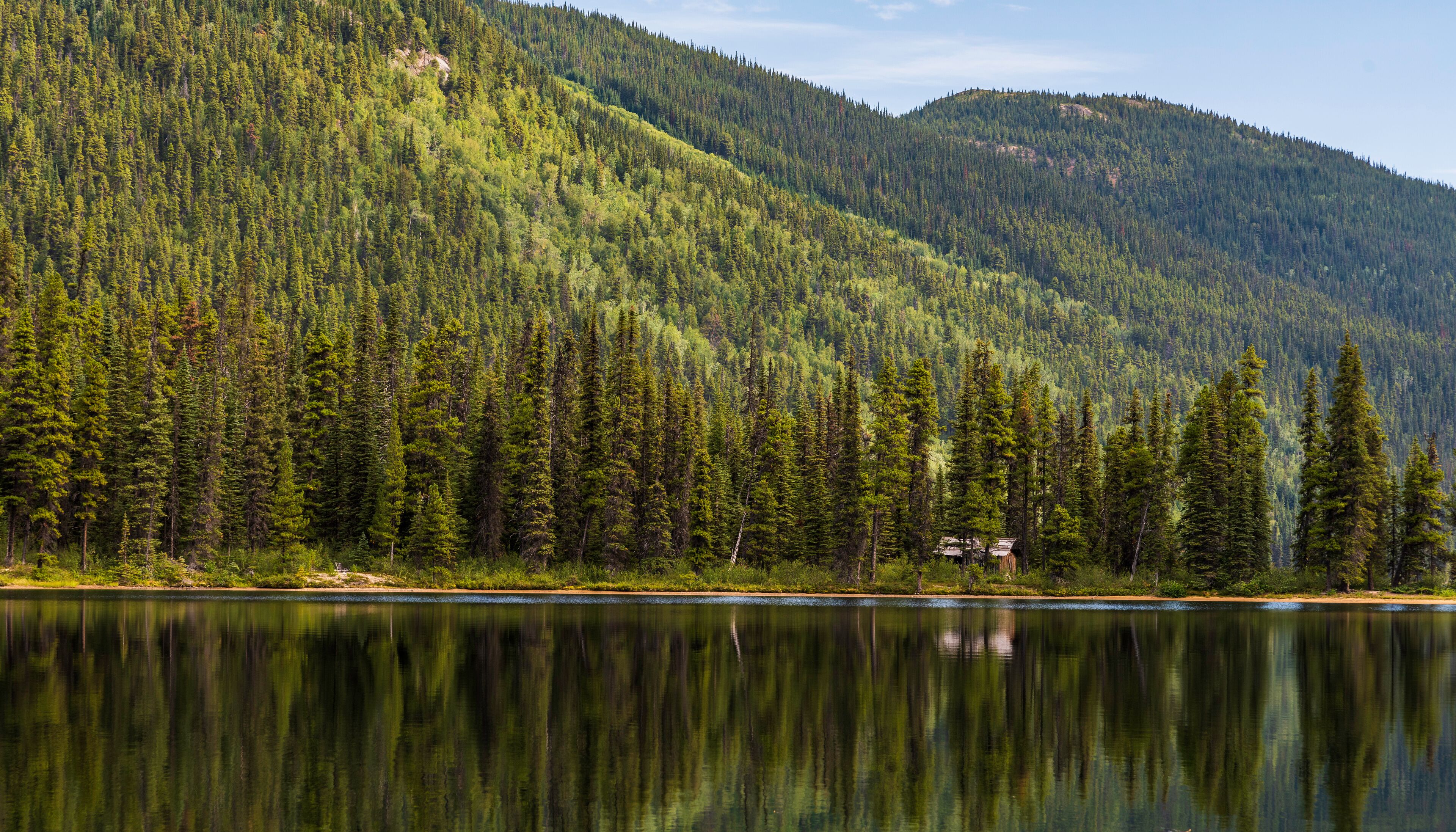 A calm lake surrounded by dense forest and mountains.