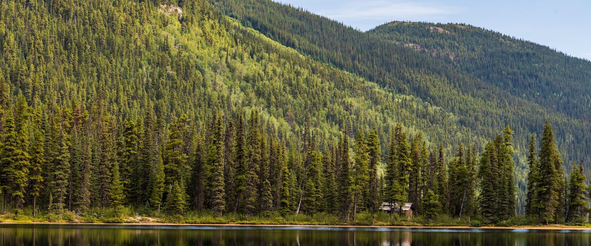 A calm lake surrounded by dense forest and mountains.