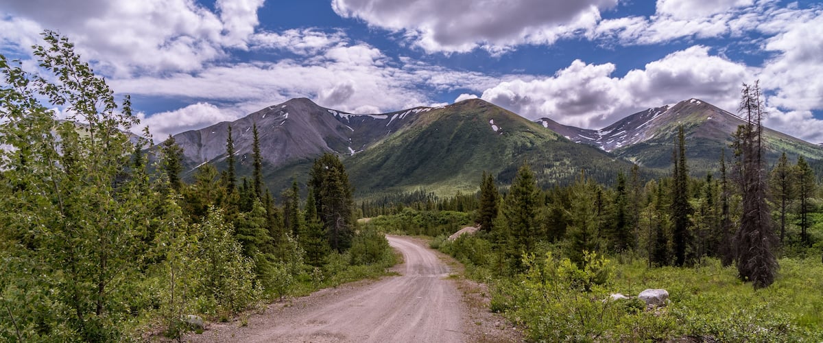 A gravel road winding through a forest with mountains in the background.