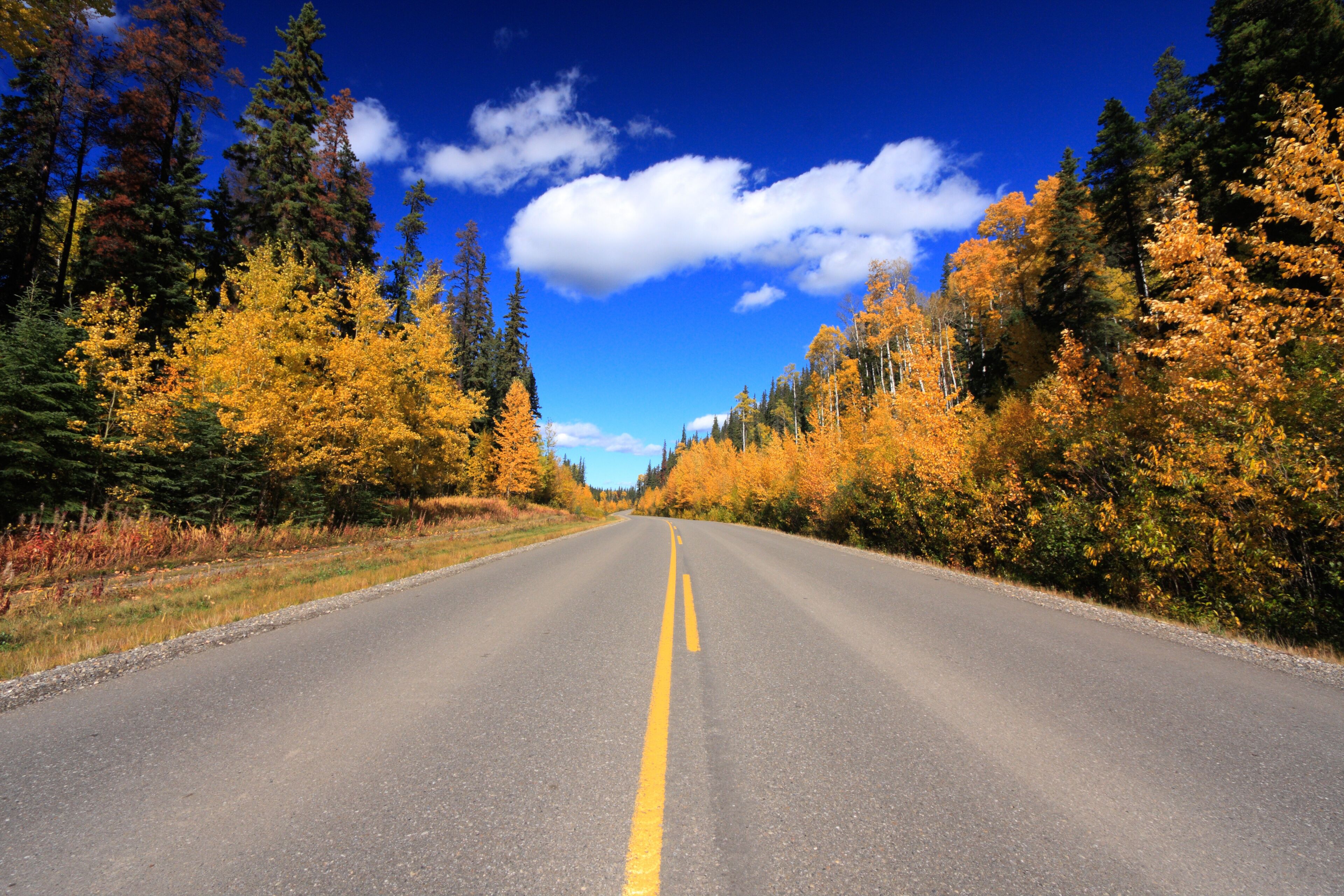 A road trip through autumn colors.