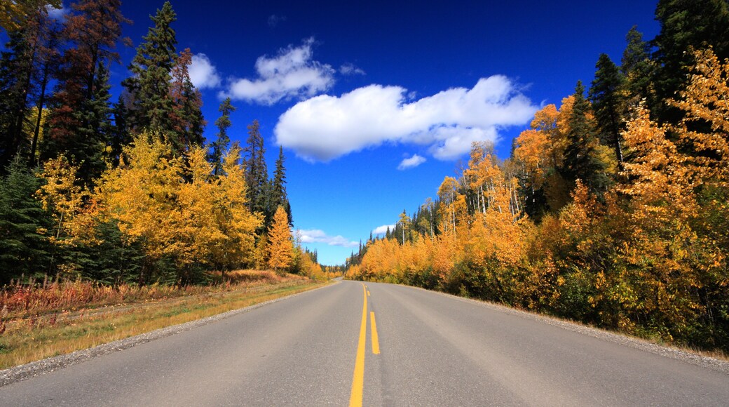 A road trip through autumn colors.