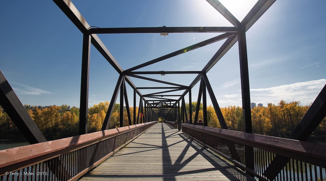 Footbridge over the North Saskatchewan River. The beginning of October marks changing leaves and cool mornings.
#yeg #Nikon #fallcolors #ExploreEdmonton