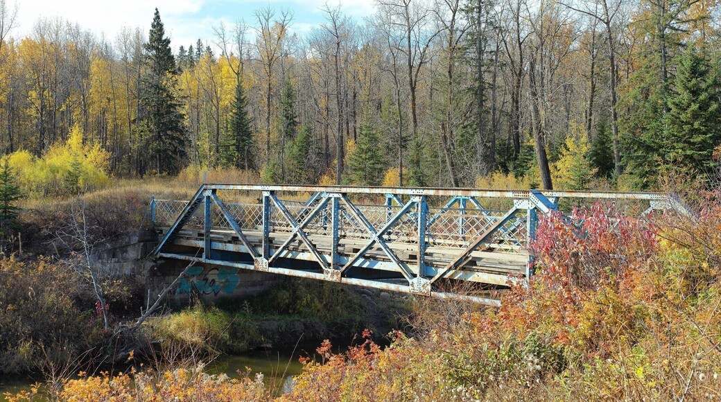 An old bridge crossing Whitemud Creek into the Mactaggart Sanctuary
#edmonton #yeg #nature #landscape #nikon #fall #autumn #canada