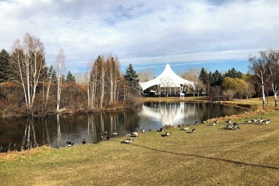 En sjö med ankor, ett vitt tält och träd.
