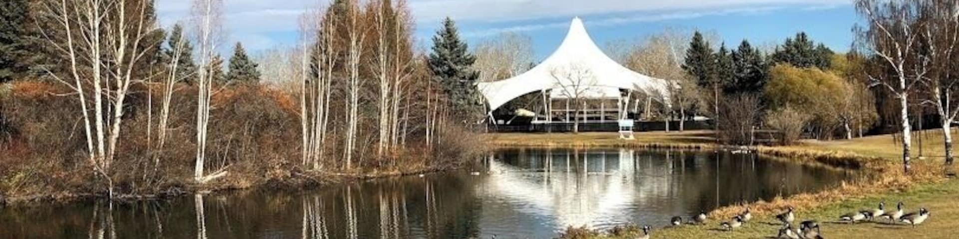Seen in the background is the Heritage Amphitheatre, which is western Canada's largest outdoor amphitheatre used for musical, dramatic, and other performances. In winter the lake is used as a skating rink.
#Edmonton #Hawrelak #park #amphitheatre #lake #reflection #geese
#GreatOutdoors