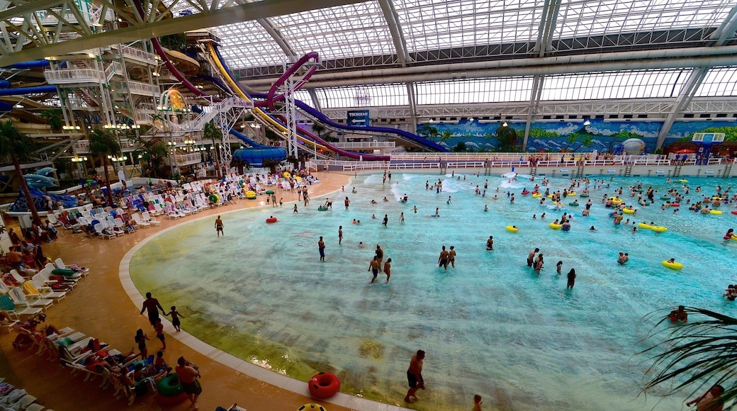 West Edmonton Mall - World Waterpark, it is the world's second-largest indoor water park after the Tropical Islands Resort in Germany, and contains the world's largest indoor wave pool with a capacity of 12.3 million litres. (Wikipedia)
#AquaTrove #NorthAmerica #Edmonton #Alberta #Canada #LikeALocal #WestEdmontonMall #Indoor #pool #waterpark #themepark