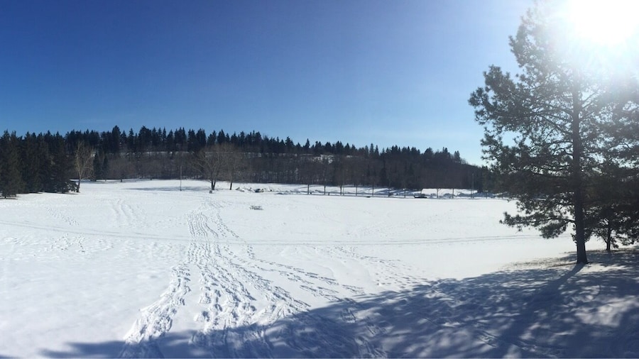 I went snowshoeing in the park last weekend.