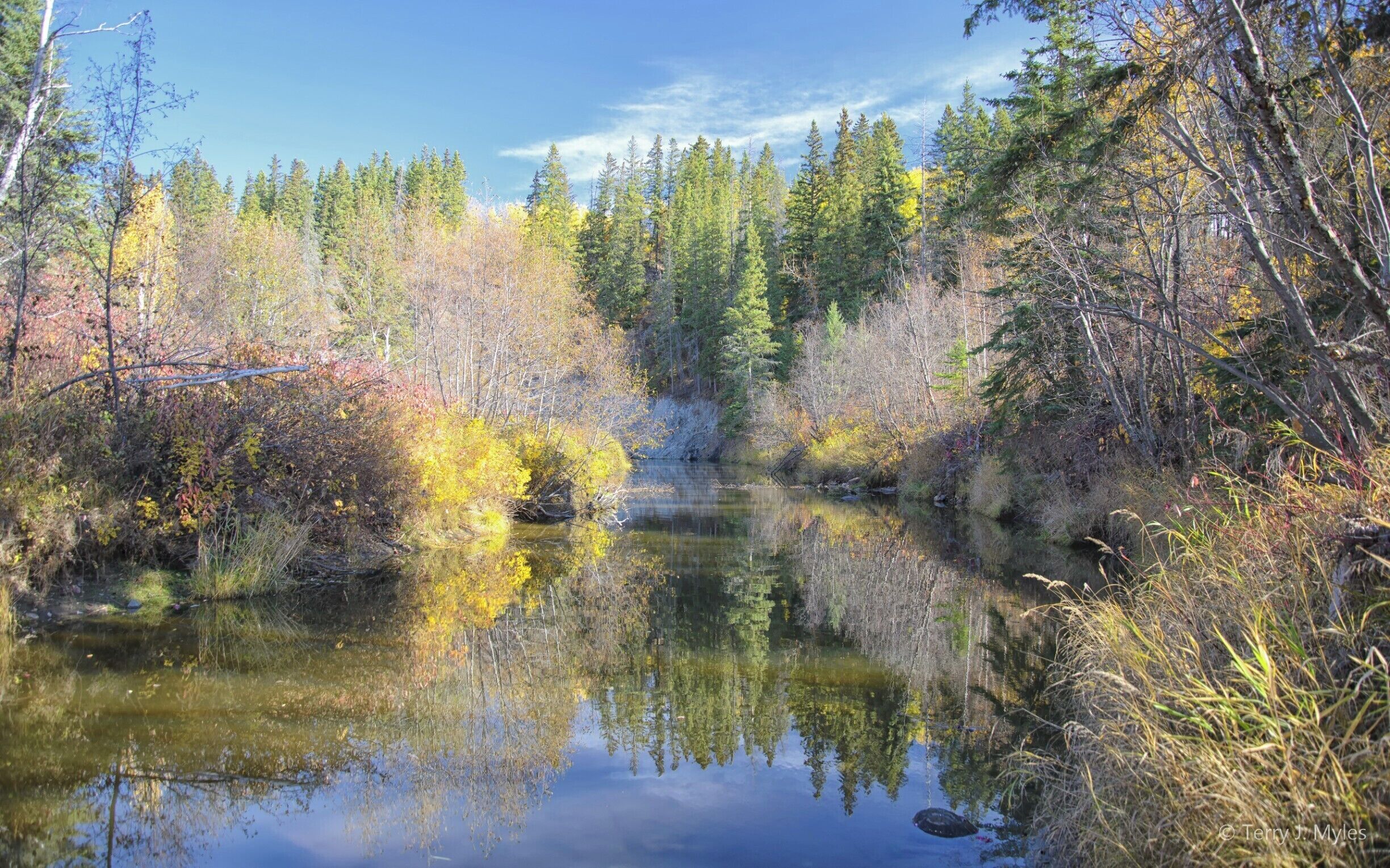 Great fall colours right in the middle of the City. The North Saskatchewan river valley is fantastic. As North America's largest urban park system it's a fantastic amenity.

#edmonton #yeg #mactaggart #landscape #nature #nikon #canada #localgem