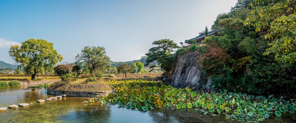 A serene pond with lily pads, a stone bridge, and a traditional building on a hillside.