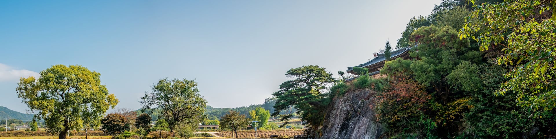 A serene pond with lily pads, a stone bridge, and a traditional building on a hillside.
