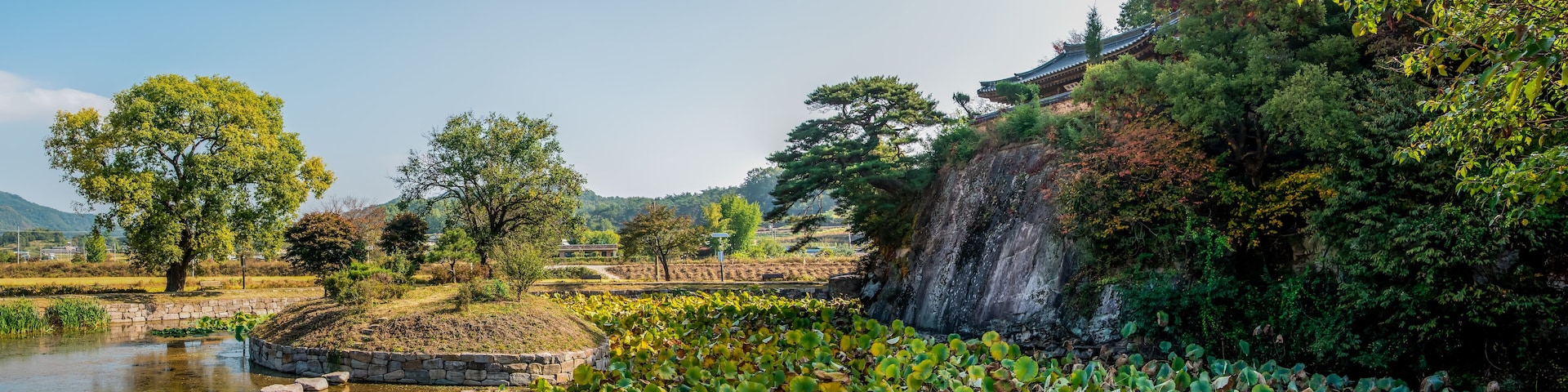 A serene pond with lily pads, a stone bridge, and a traditional building on a hillside.