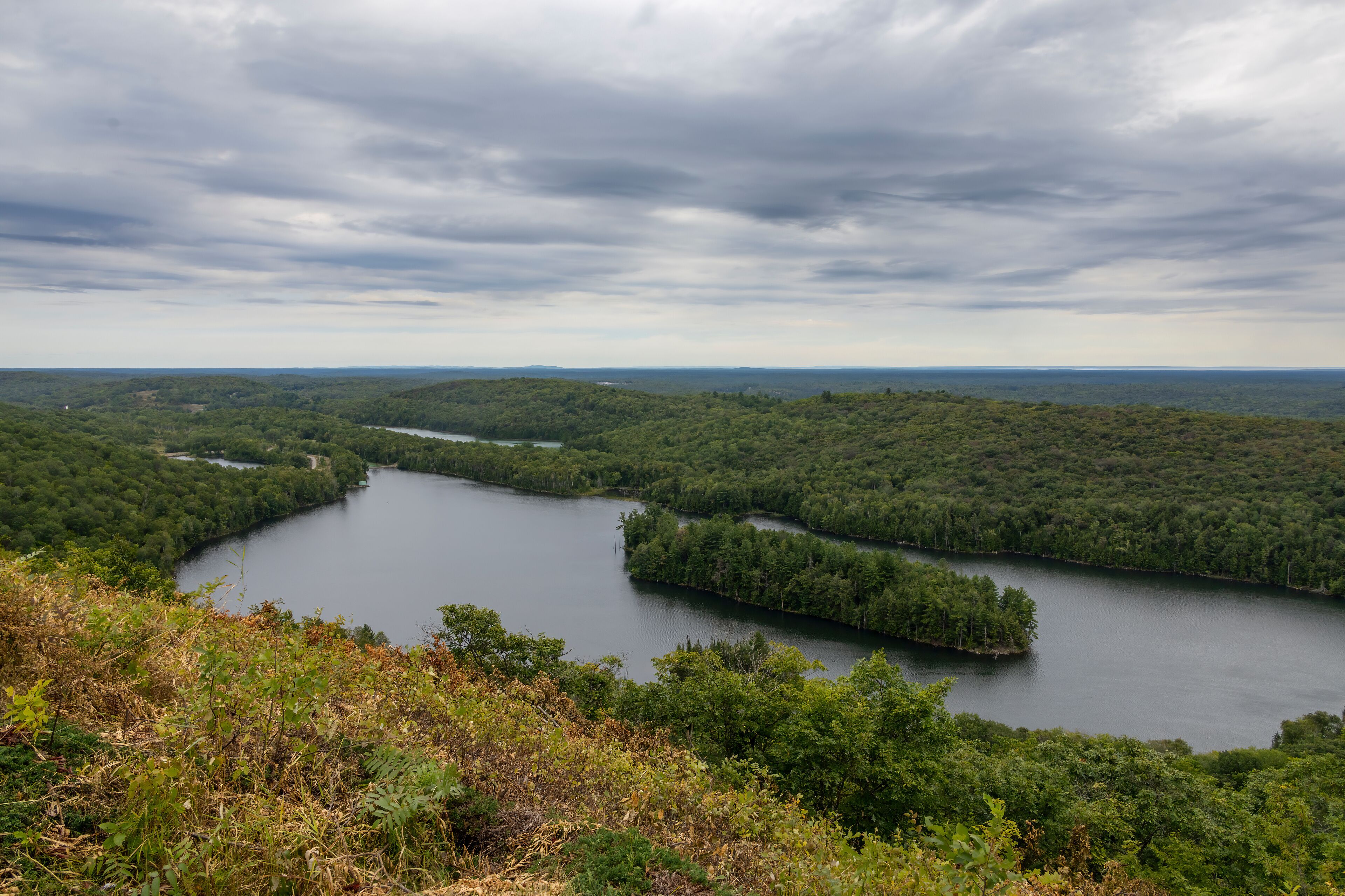Panoramic view from Elliot Lake's fire tower, overlooking lush forests and the distant horizon under an overcast sky.