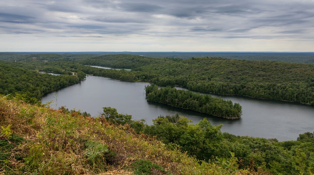Panoramic view from Elliot Lake's fire tower, overlooking lush forests and the distant horizon under an overcast sky.