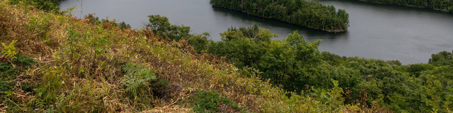 Panoramic view from Elliot Lake's fire tower, overlooking lush forests and the distant horizon under an overcast sky.